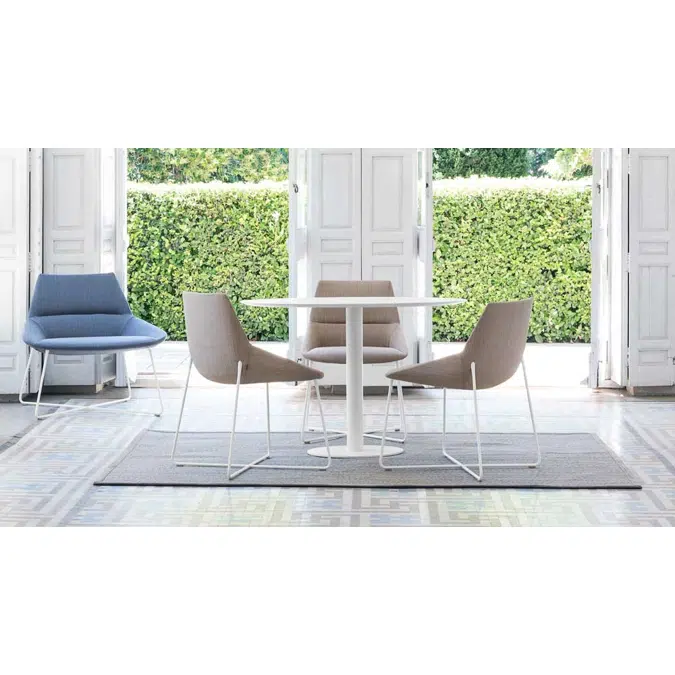 DUN0250 - Chair with rod frame