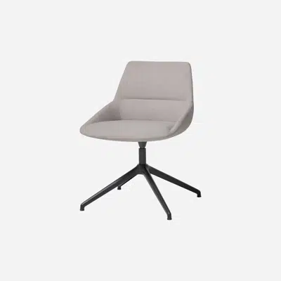 bilde for DUN0270 - Chair with 4 spoke aluminum swivel base