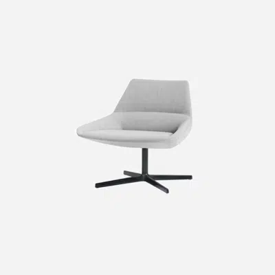 Image for DUN0050 - Lounge chair with low back and flat 4 spoke aluminum base