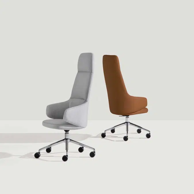 BIN0310 - Bürostuhl mit hohem Rücken (5-Speichen-Drehgestell + Aluminium + Rollen + Gasdruckfeder)