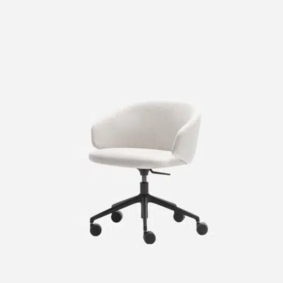 BIN0015 - Armchair with low back (5 spoke aluminum swivel base on casters + gas lift + tilt mechanism)图像