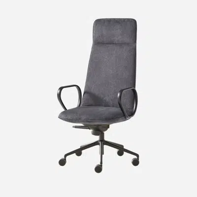 KOR0320 - Armchair with high back (5 spoke aluminum swivel base on casters + 7 position tilt mechanism)图像