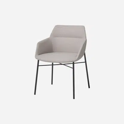 изображение для DUN0160 - Armchair with 4 leg frame