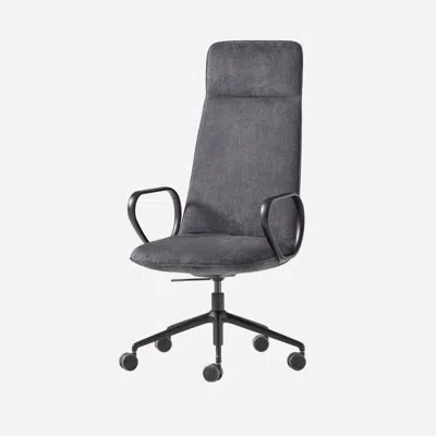 KOR0330 - Armchair with high back (5 spoke aluminum swivel base on casters + gas lift)图像