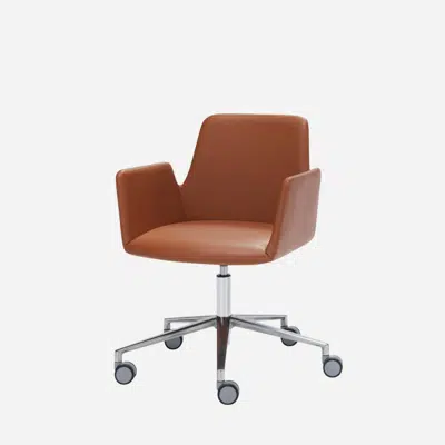 Immagine per ALT0060GG - Armchair with low back (5 spoke aluminum swivel base on casters + gas lift)