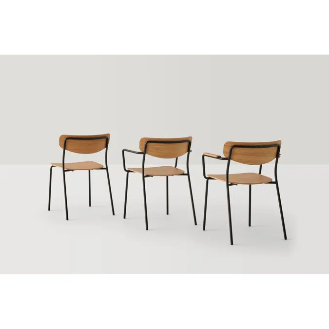 LEA0450 - Armchair with 4 leg frame and armpads (wooden seat & back)