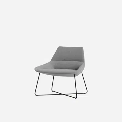 afbeelding voor DUN0010 - Lounge chair with low back and rod frame