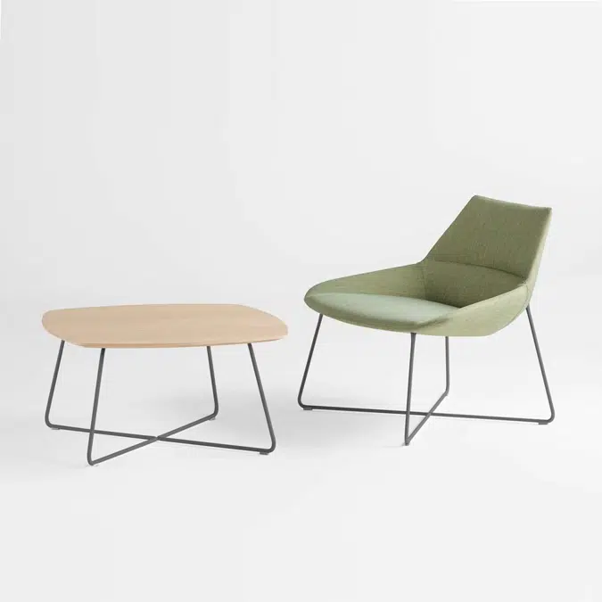 DUN0010 - Lounge chair with low back and rod frame