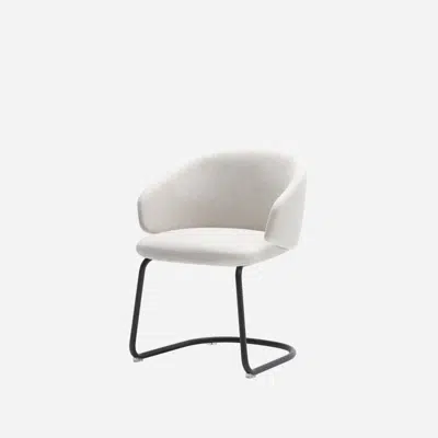 BIN0040 - Armchair with low back and steel cantilever base.图像