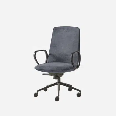 KOR0420 - Armchair with medium back (5 spoke aluminum swivel base on casters + 7 position tilt mechanism)图像