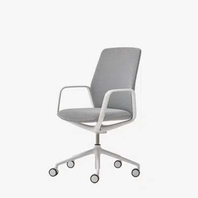 изображение для EXA0010 - Swivel armchair 5 spoke base on casters + gas lift + tilt movement