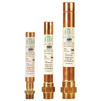 Wilkins 1260XL Water Hammer Arrestor图像