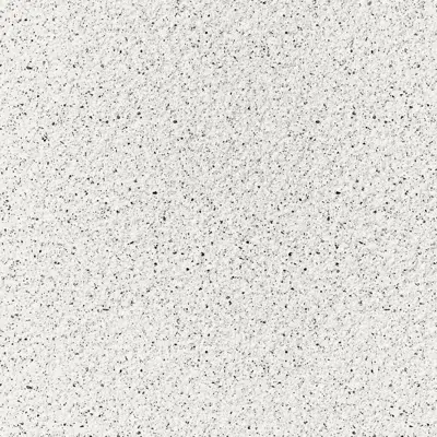 Image for Rieder | concrete skin | salt'n'pepper