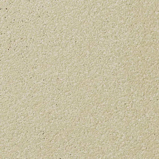 Rieder | concrete skin | standard