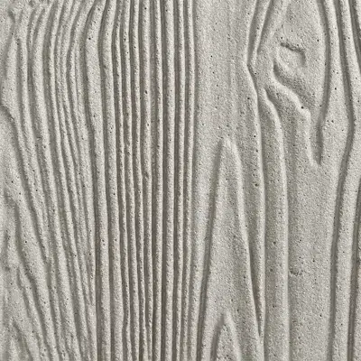 Image for Rieder | concrete skin | lumber