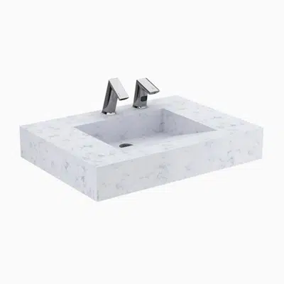 画像 Designer Series™ DSG 81000 1-Station Wall-Mounted Gradient Sink