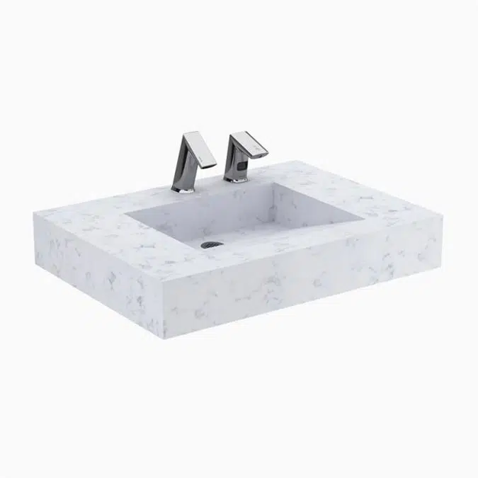 Designer Series™ DSG 81000 1-Station Wall-Mounted Gradient Sink