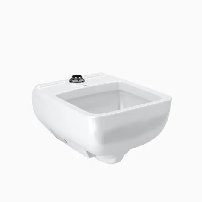 SS 3200 Vitreous China Healthcare Service Sink