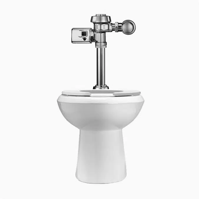 WETS 2000.1402 ST-2009 Water Closet and ROYAL 111 SMO Flushometer