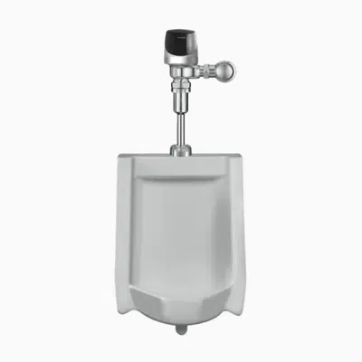 Image for WEUS 1002.1401 SU-1009 Urinal and ECOS 8186 Flushometer