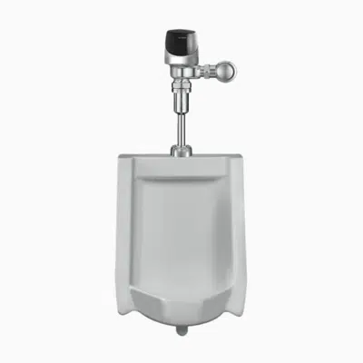 WEUS 1002.1401 SU-1009 Urinal and ECOS 8186 Flushometer图像