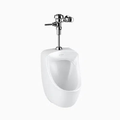 WEUS-7000.1001 SU-7009 Urinal and ROYAL 186 Flushometer图像