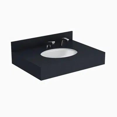 imazhi i Designer Series™ DSCT 81000 1-Station Wall-Mounted Counter Top Sink