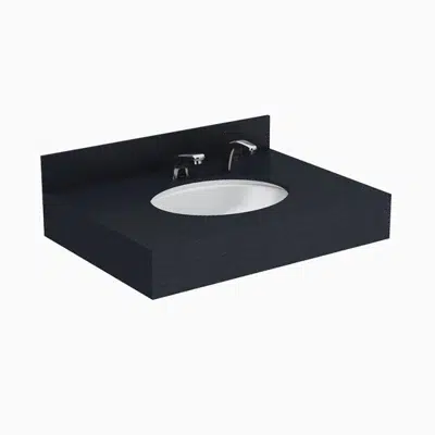 Designer Series™ DSCT 81000 1-Station Wall-Mounted Counter Top Sink 이미지