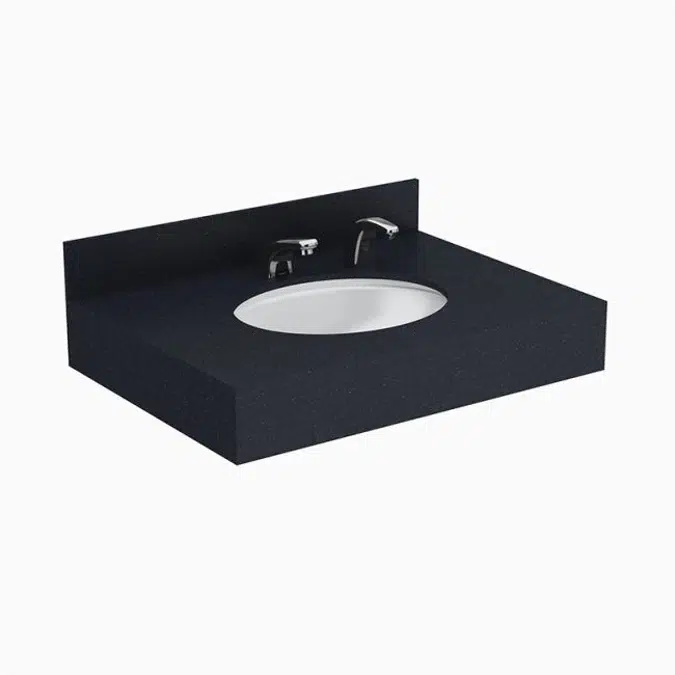 Designer Series™ DSCT 81000 1-Station Wall-Mounted Counter Top Sink