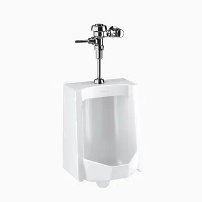 Image for WEUS-1002.1001 SU-1009 Urinal and ROYAL 186 Flushometer