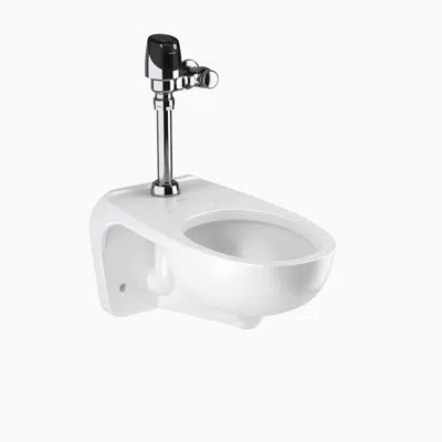 bild för WETS-2452.1201 ST-2459 Water Closet and SOLIS 8111 Flushometer