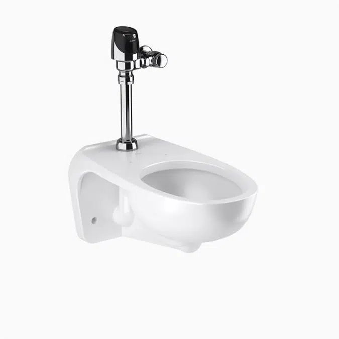 WETS-2452.1201 ST-2459 Water Closet and SOLIS 8111 Flushometer