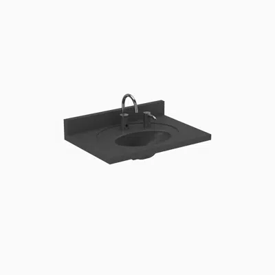 obraz dla ELC-41000 SloanStone® 1-Station Wall-Mounted Counter Top Sink