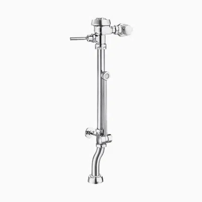 Image for Royal® BPW 1150 Exposed Manual Specialty Water Closet Bedpan Washer Flushometer