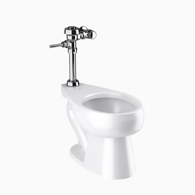 WETS-2020.1001 ST-2029 Water Closet and ROYAL 111 Flushometer