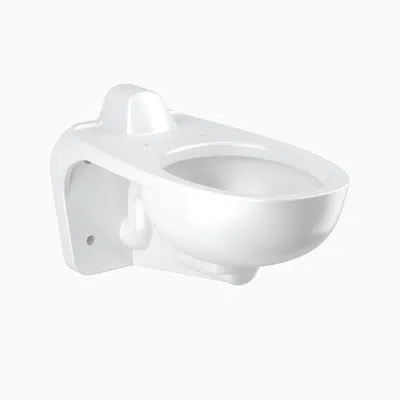 Image for ST-2469 Vitreous China Wall-Mounted Water Closet