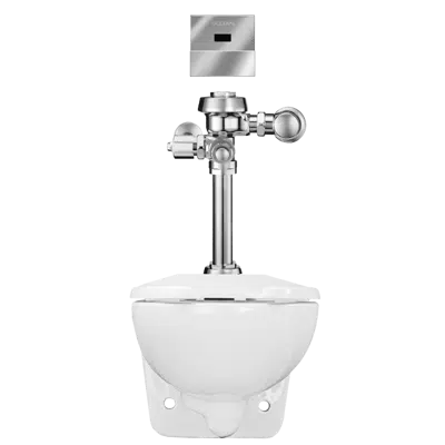 bilde for WETS-2450.1303 ST-2459 Water Closet and ROYAL 111 ESS Flushometer