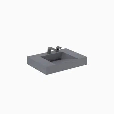 Image pour Designer Series™ DSWD 81000 1-Station Wall-Mounted Weir Deck Sink