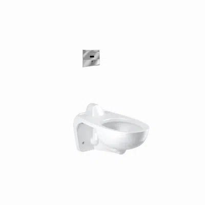 bilde for WETS-2460.1311 ST-2469 Water Closet and ROYAL 152 ESS Flushometer