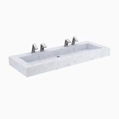 Зображення для Designer Series™ DSG 82000 2-Station Wall-Mounted Gradient Sink