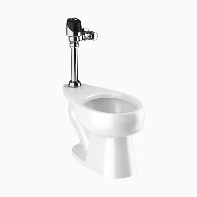 WETS 2000.1401 ST-2009 Water Closet and G2 8111 Flushometer
