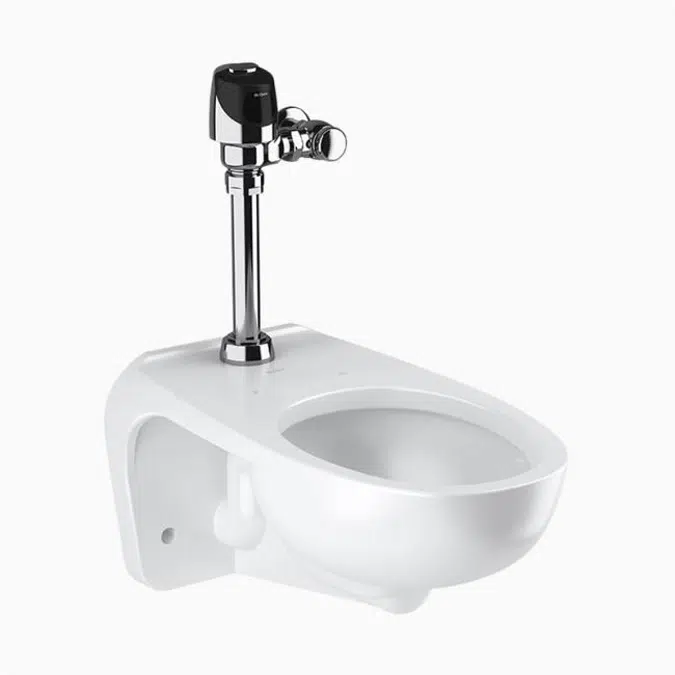 WETS-2453.1401 ST-2459 Water Closet and G2 8111 Flushometer