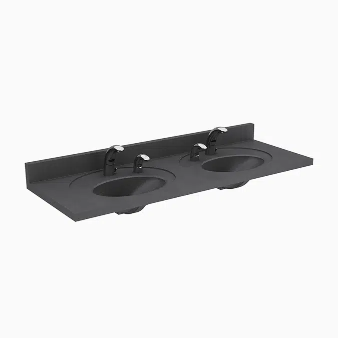 ELC-42000 SloanStone® 2-Station Wall-Mounted Counter Top Sink