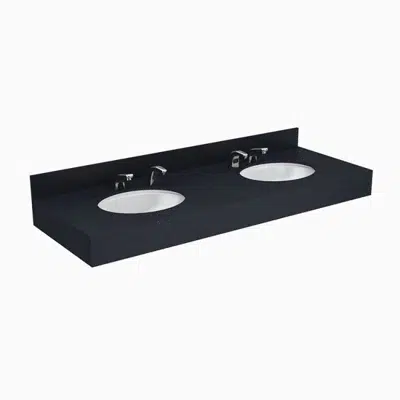 Designer Series™ DSCT 82000 2-Station Wall-Mounted Counter Top Sink 이미지