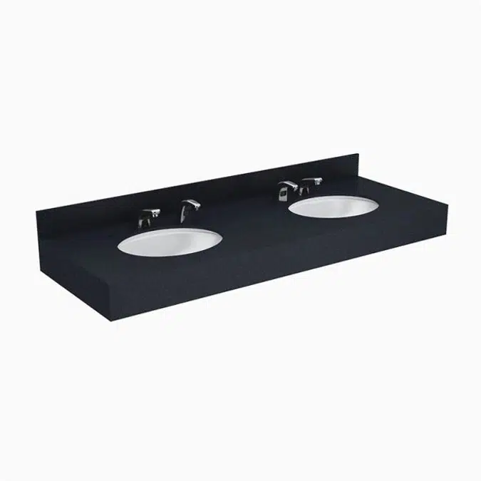 Designer Series™ DSCT 82000 2-Station Wall-Mounted Counter Top Sink