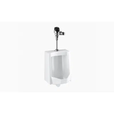 Image for WEUS 1000.1401 SU-1009 Urinal and ECOS 8186 Flushometer