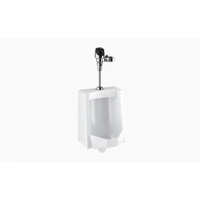 WEUS 1000.1401 SU-1009 Urinal and ECOS 8186 Flushometer