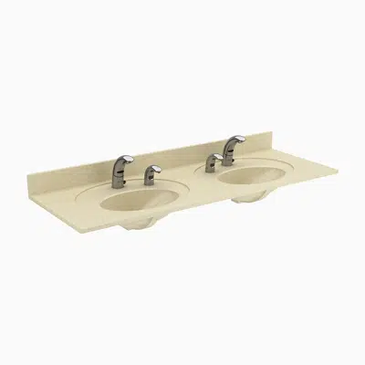 Image for ELC-72000 SloanStone® 2-Station Wall-Mounted Counter Top Sink