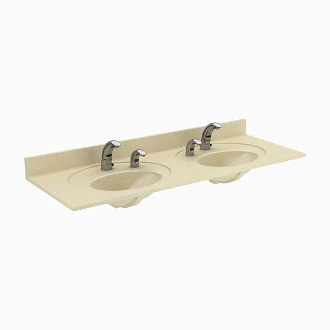 ELC-72000 SloanStone® 2-Station Wall-Mounted Counter Top Sink