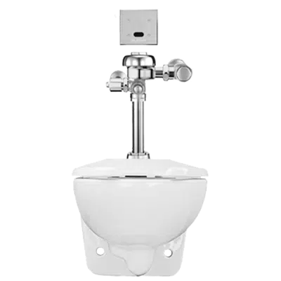 bilde for WETS-2450.1320 ST-2459 Water Closet and SLOAN 111 ESS Flushometer